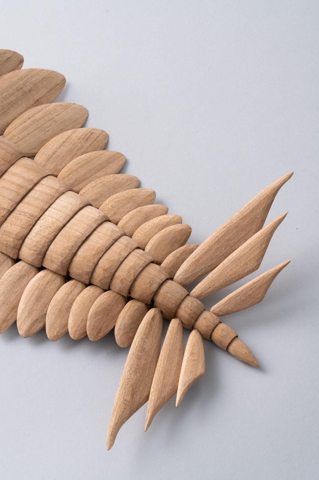 復活！古代生物アノマロカリス！