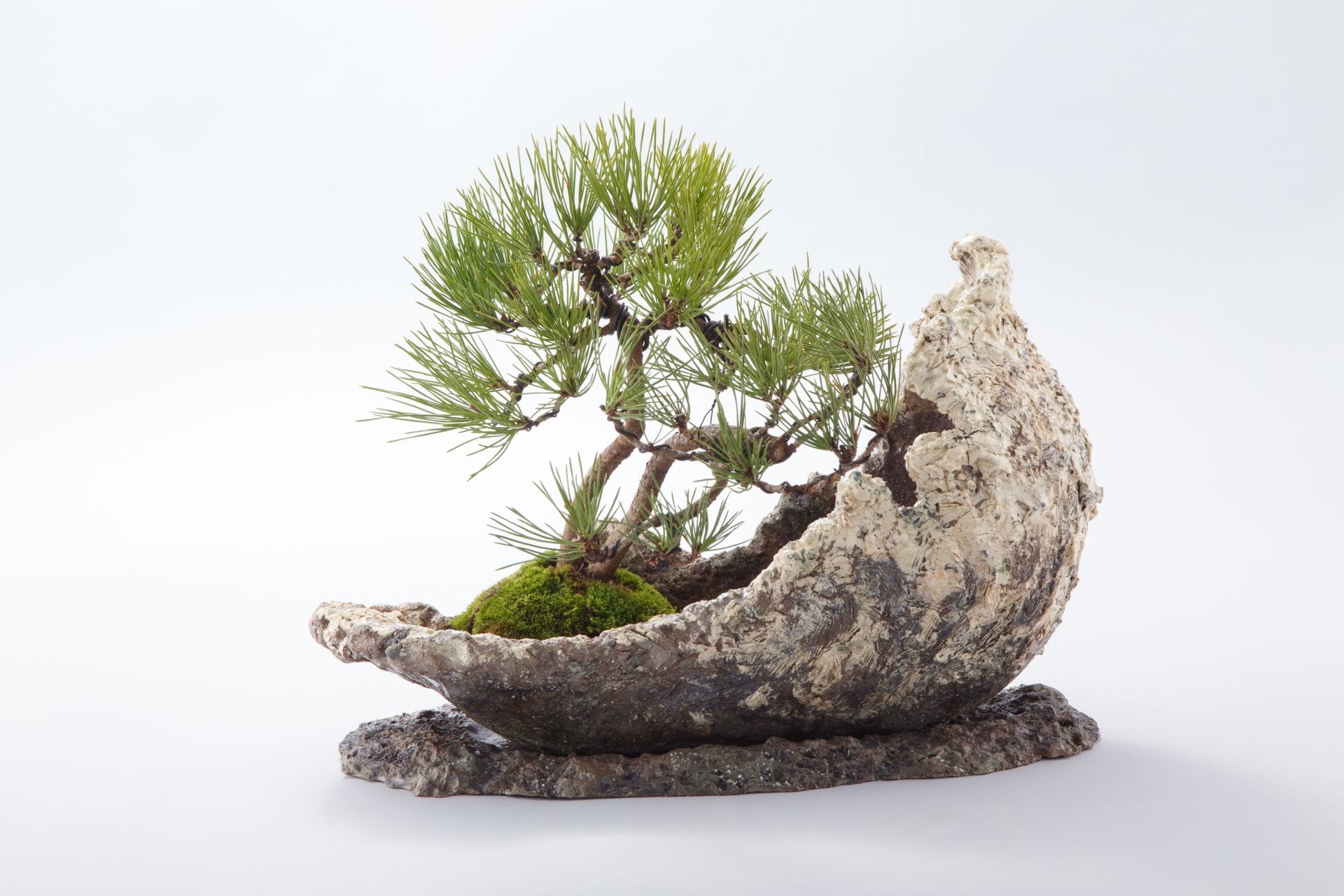 景勝石盆
